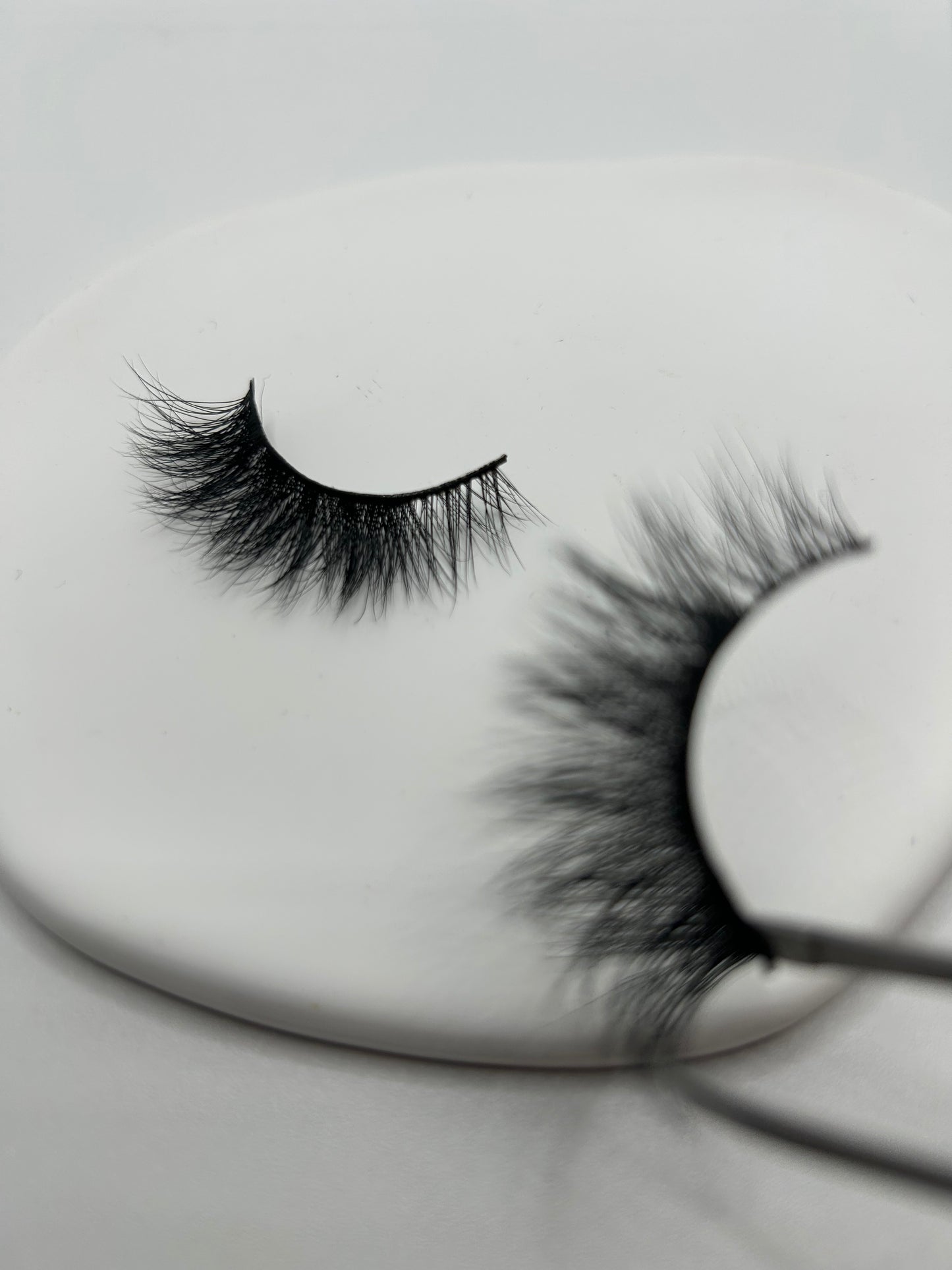 Rich Girl Lash